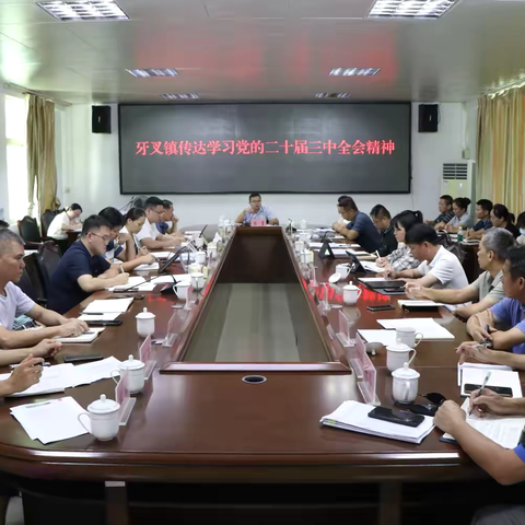 牙叉镇召开党委（扩大）会议 传达学习党的二十届三中全会精神