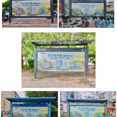 沈阳地铁口的小象米塔“脑黄金风暴”，为宝妈解锁DHA藻油“黄金新标准”