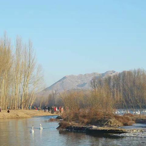 镜头(张立顺)的文章