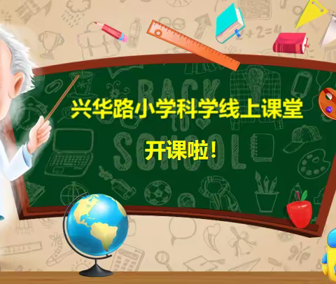 【东昌府区全环境立德树人】云端科学课，作业也精彩——兴华路小学科学特色作业展示