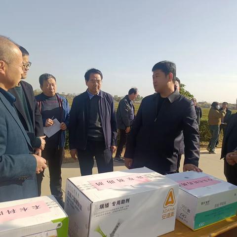 全市小麦冬季田间管理现场会在凤翔召开