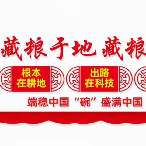 凤翔区病虫信息（2025年第2期）