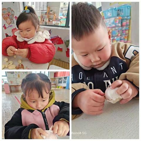 小二班种植课程🌱《你说了“蒜”》