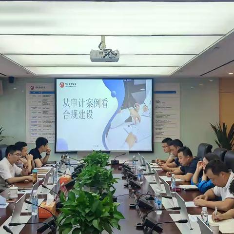 公司召开“从审计案例看合规建设”培训会