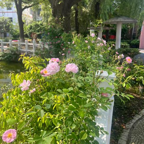 儿童画社团（王泽辉）