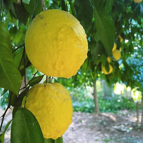 儿童画社团（王泽辉）