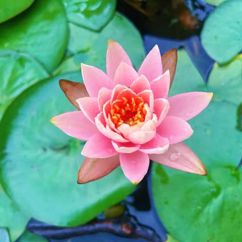 云阳学校美术社团2