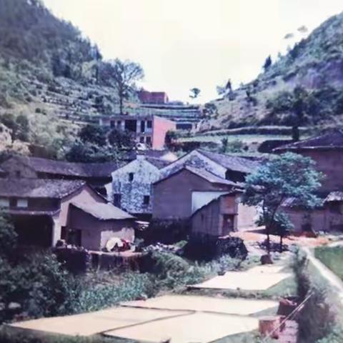 老家“晒热头”那些事儿