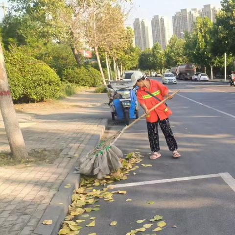 市建管局市容环境科应对大风天气迅速恢复城市容貌