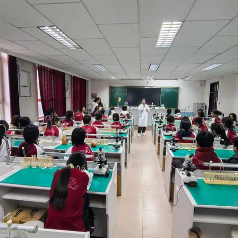 观察植物细胞质壁分离与复原：一场微观世界的探索之旅