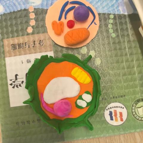 细胞及细胞器结构模型制作活动——高一（8）班作品