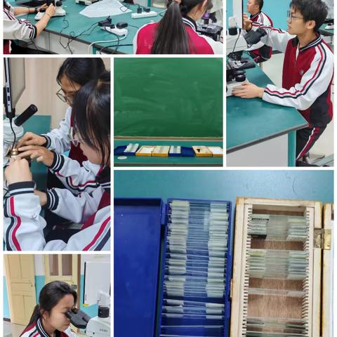 光学到数码，科技助学习——“生生不息”社团开展数码显微镜实操活动