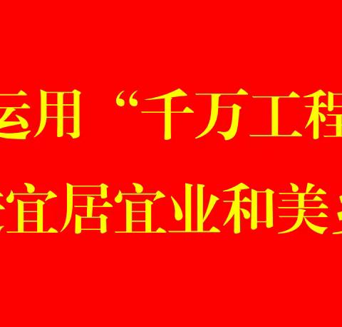 我区召开学习运用“千万工程”经验暨示范村创建工作推进会