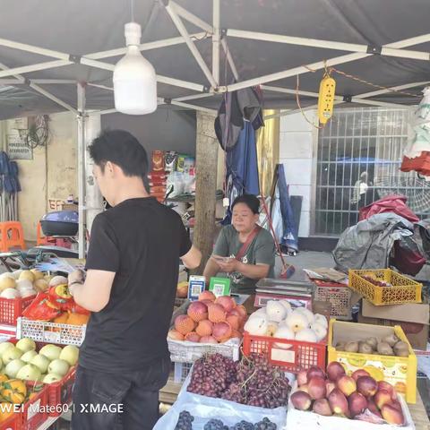 新市村委会开展反有组织犯罪法宣传活动