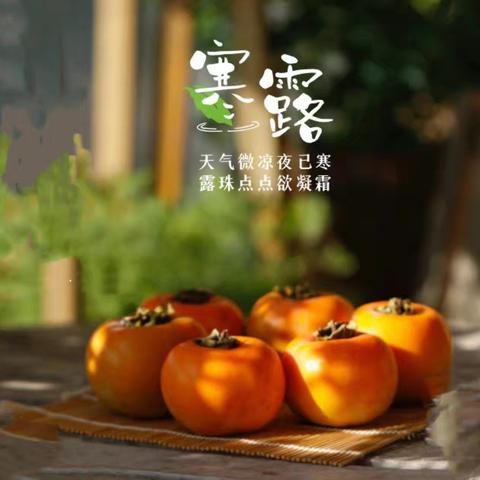寒露凝正气，清风润医心