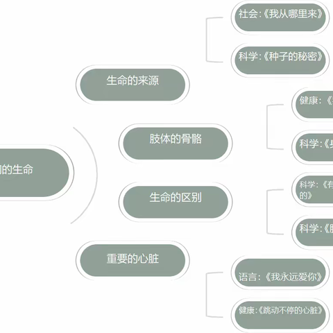 贝乐碧桂园幼儿园大一班班本主题课程分享