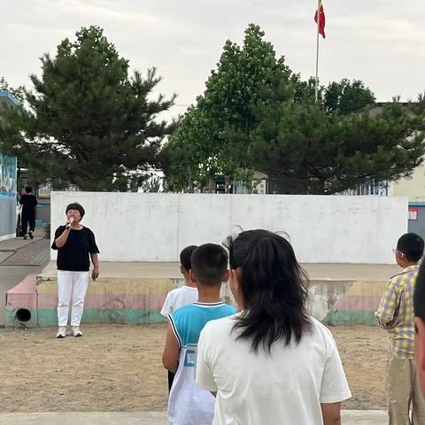 “杏”福采摘，快乐校园——赞公庄小学摘杏纪实