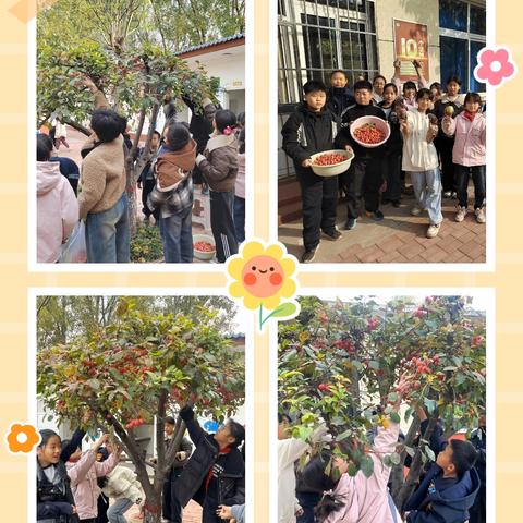 采摘喜悦，收获成长——赞公庄小学劳动教育基地丰收季