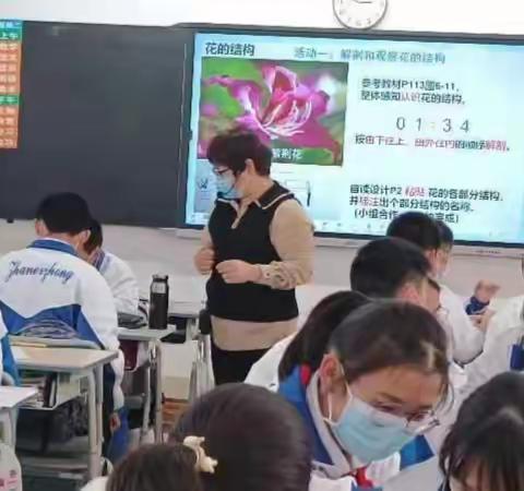 赏花，识花，惜花                 ——记湛江市港城中学《6.3生殖器官的生长》公开课