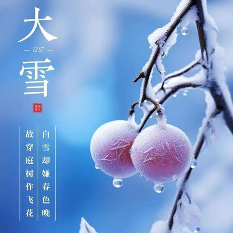 金域名都住宅服务中心2024年12月份工作月报