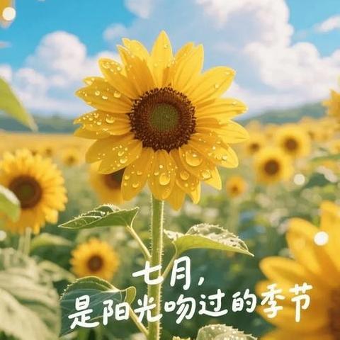 金域名都住宅服务中心2025年7月份工作月报