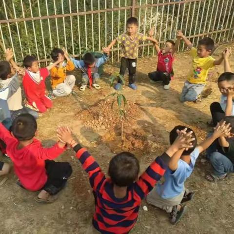 思茅港镇茨竹林小学3.12植树节活动