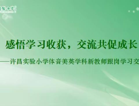 感悟学习收获，交流共促成长——许昌实验小学体音美英学科新教师跟岗学习交流体会