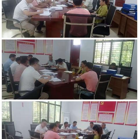 兰罗村委会开展"脱贫攻坚暨主题党日”活动