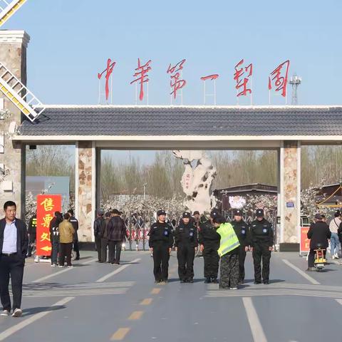 蓬勃发展的中华第一梨园——冠县兰沃冠州梨园