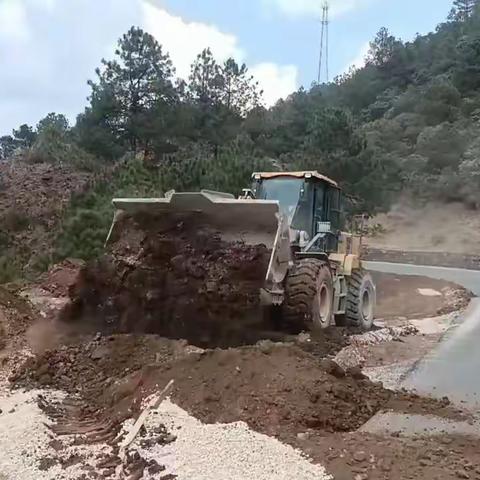 履行植树义务，共建美丽公路。