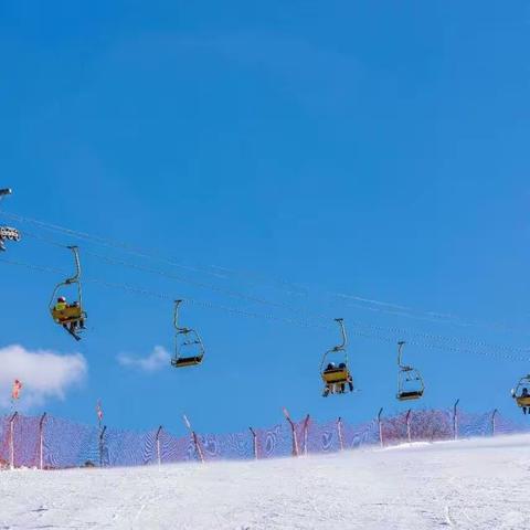 “特〞别的爱，给“特”别的您，这边雪景“特”好