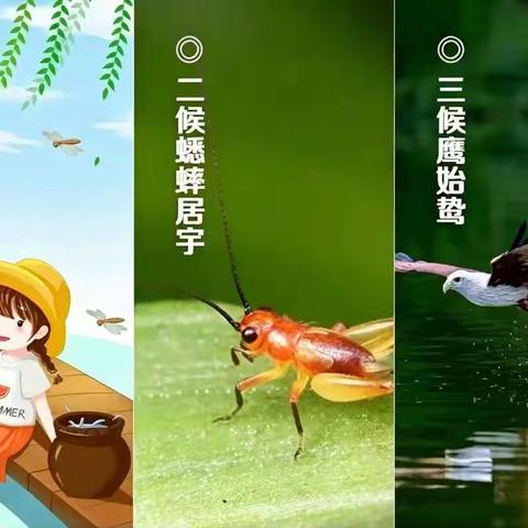 用户2711194的文章