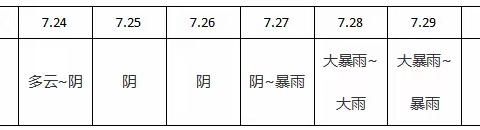 国投·新涵首府项目周报