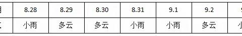 国投·新涵首府项目周报·````·