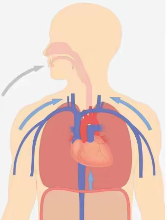 CO2传感器SprintIR-R用于人体健身运动测试中二氧化碳浓度变化监测