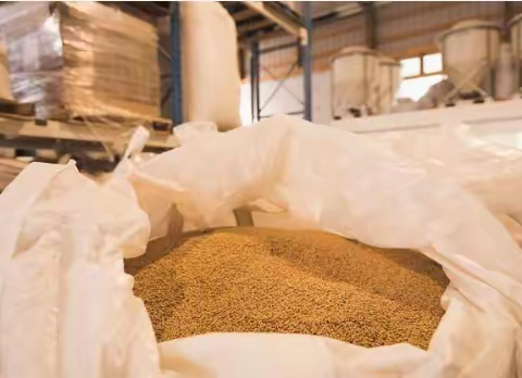 粮堆粮食CO2气调存储过程中二氧化碳浓度检测的重要性