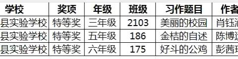 小作家，大梦想——2023年全国“开心杯”中小学生单元习作有奖征文（湖南专场）