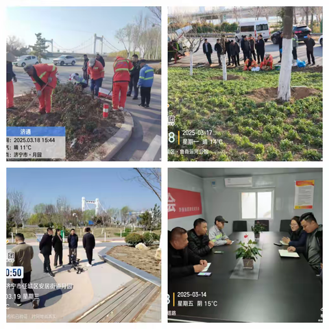 “与时间赛跑，为城市添绿”----全面提升滨湖路绿化工程