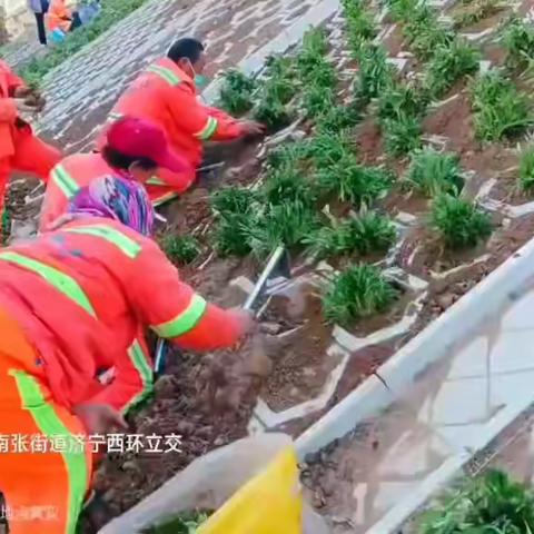 弯腰千次种绿荫，只为跑者踏春来---致敬斜坡上的“垂直战士”