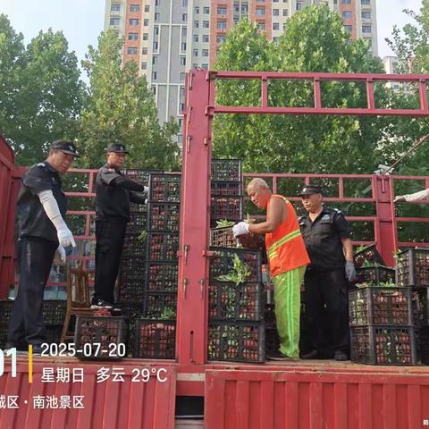 南池公园百人植绿战高温，共筑城市“生态画卷”