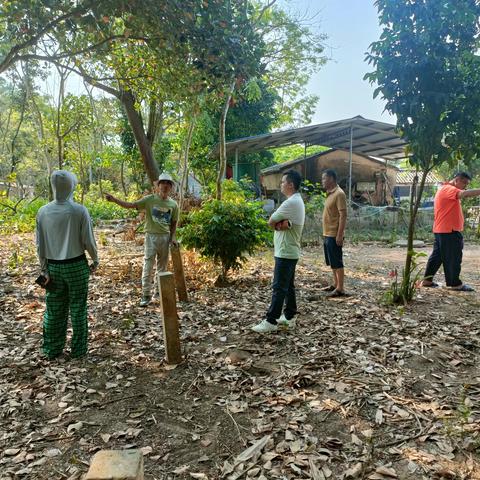 临高县司法局南宝司法所成功调解一宗土地纠纷案件