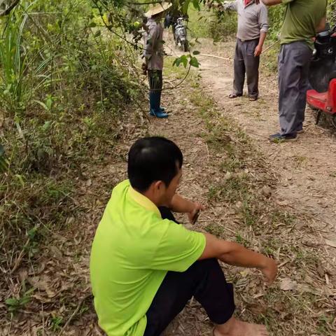临高县司法局南宝司法所成功调解一宗土地纠纷