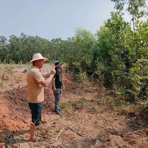 临高县司法局南宝司法所成功调解一宗土地纠纷案件