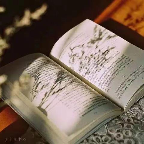 深耕细读沐书香  且行且思共成长——暑假教师“读写练”系列活动（一）