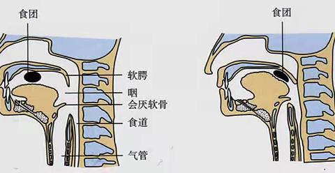 急救无小事，课堂储备保平安             ———生物课堂上的急救知识