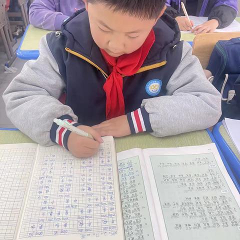 204小记