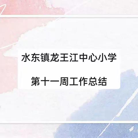 水东镇龙王江中心小学第十一周工作总结