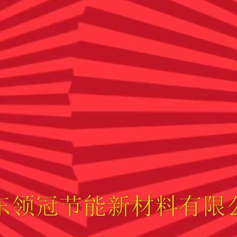 广东领冠节能新材料有限公司2024年会