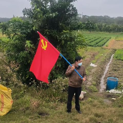 东阁镇宝芳村委会“六水共治”拾“废”护“绿”靓乡村