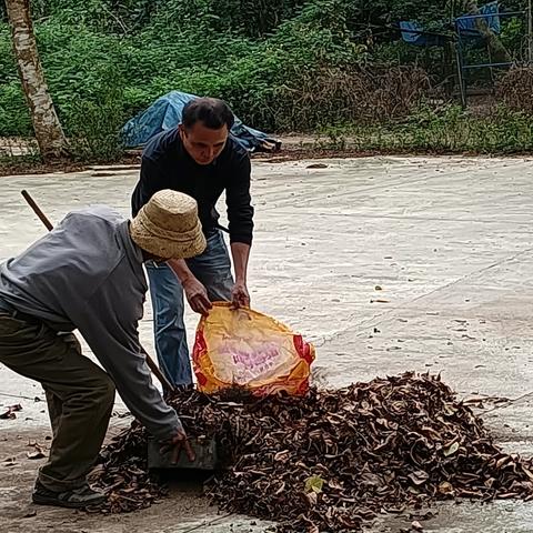 抱锦村开展环境卫生专项整治行动